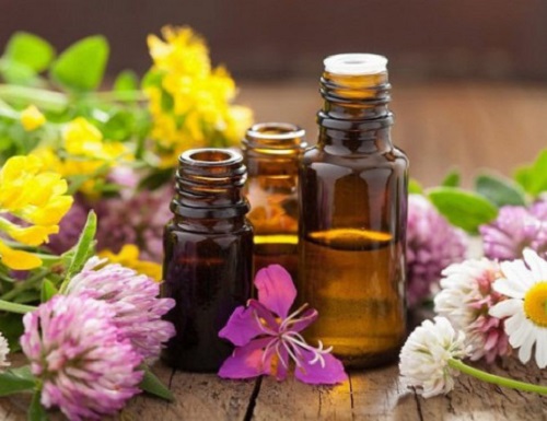Tinh dầu xông phòng ( Sả chanh, hoa hồng, oải hương, vỏ quế....)