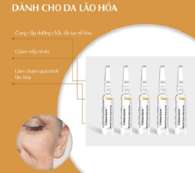 bo duong cang bong va tre hoa Desembre Aging Science Premium Synergy Treatment 1