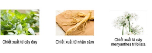 phan nuoc deoproce cap am chong nang UV